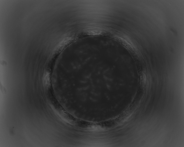 X0000090860598200708030949