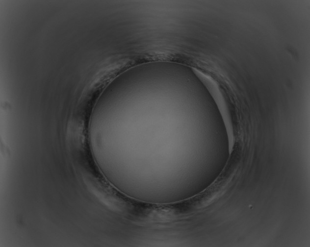 X0000090860599200708030949