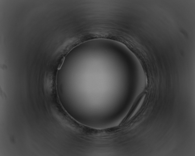 X0000090860600200708030949