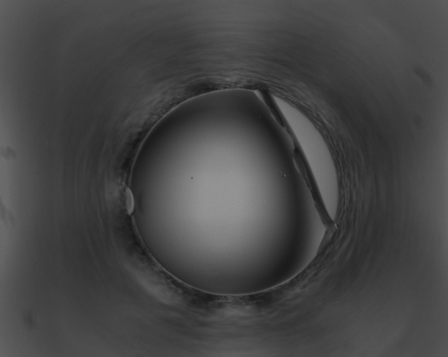 X0000090860601200708030949