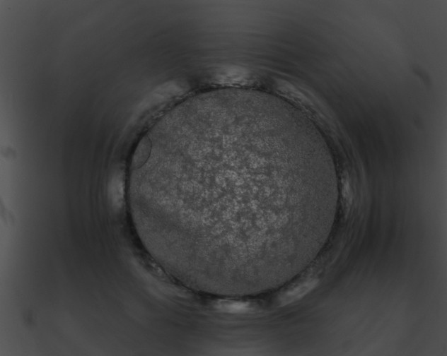 X0000090860602200708030949
