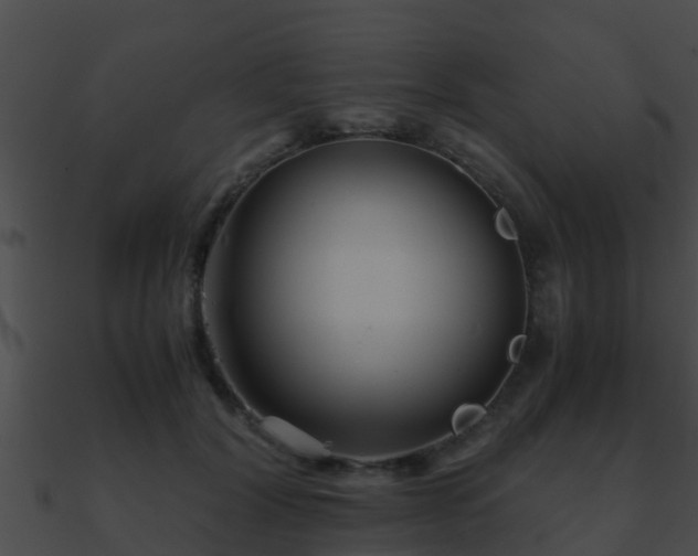 X0000090860604200708030949