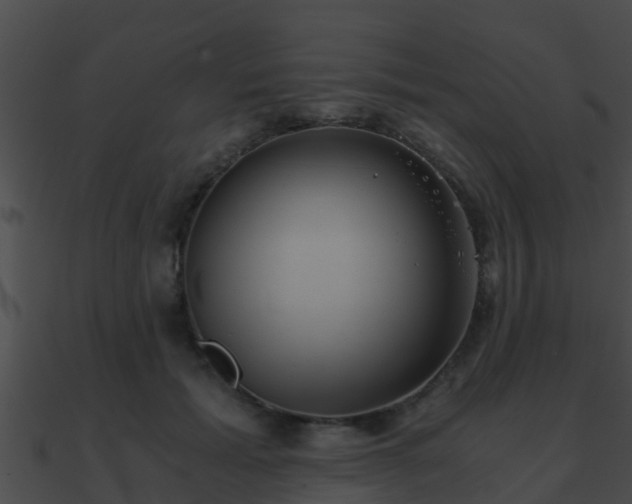 X0000090860605200708030949