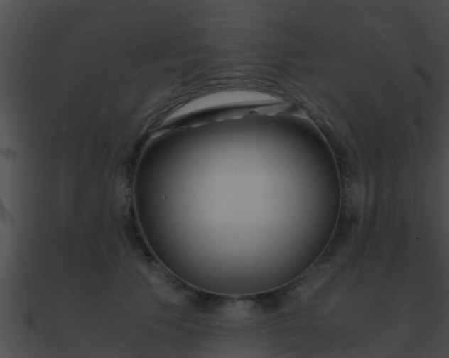 X0000090860609200708030949