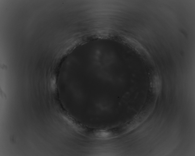 X0000090860610200708030949