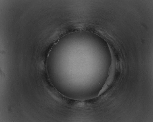X0000090860611200708030949