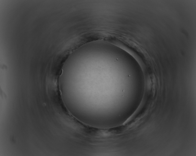 X0000090860613200708030949