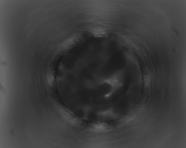 X0000090860618200708030949