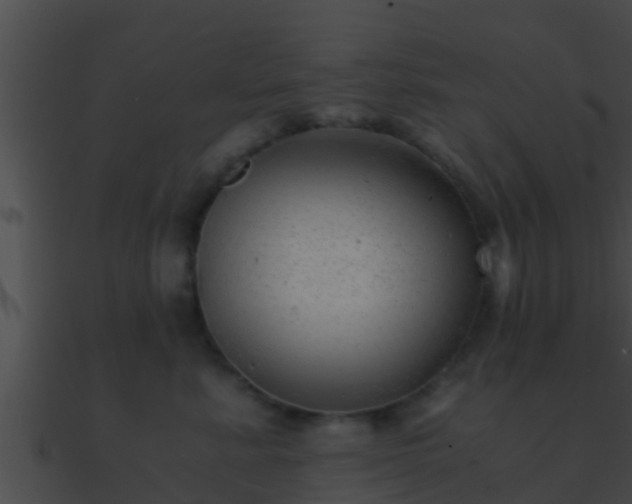 X0000090860619200708030949