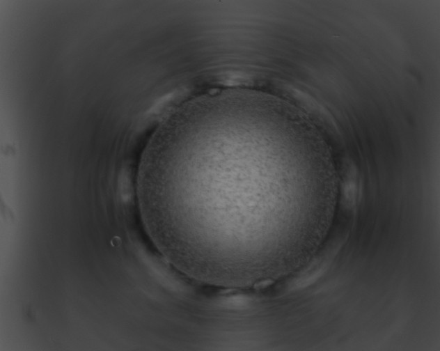 X0000090860620200708030949
