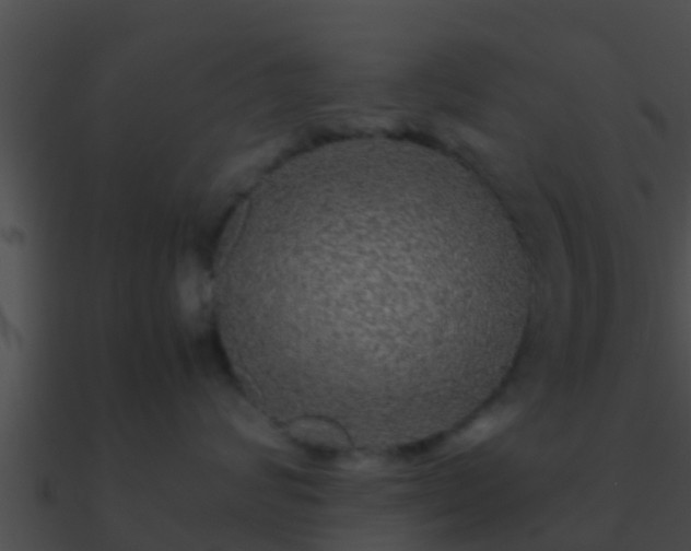 X0000090860624200708030949