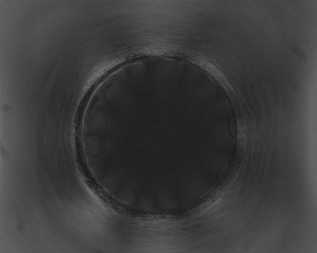 X0000090860626200708030948