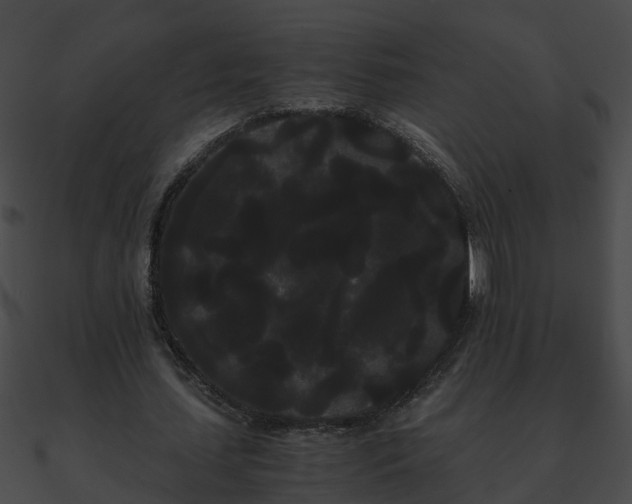 X0000090860627200708030948