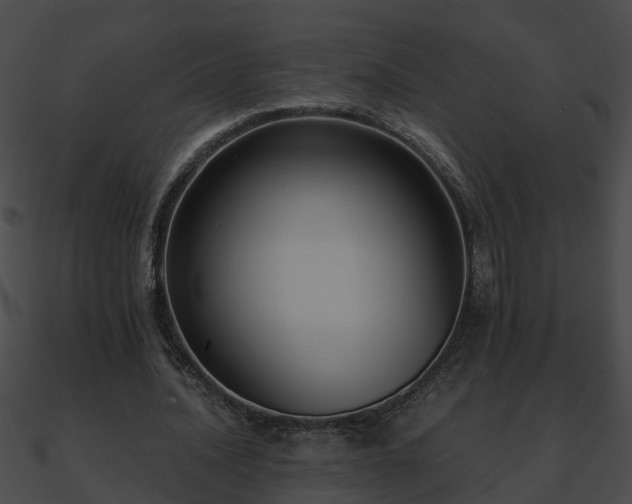 X0000090860628200708030948