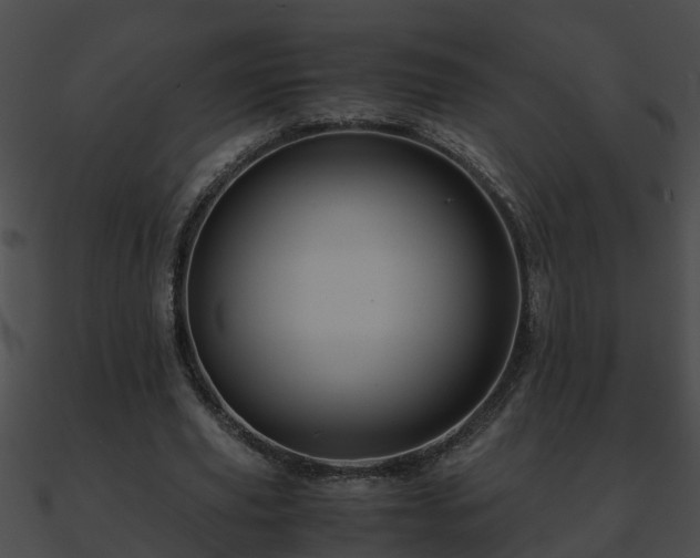 X0000090860629200708030948