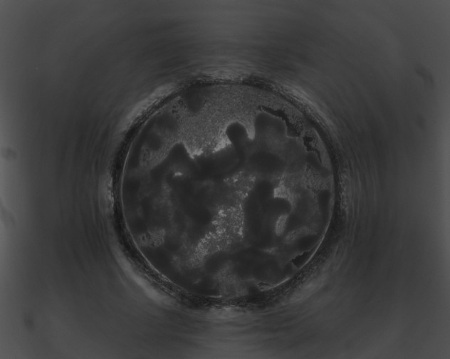 X0000090860634200708030948