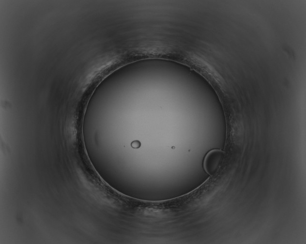 X0000090860635200708030948