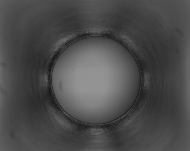 X0000090860636200708030948