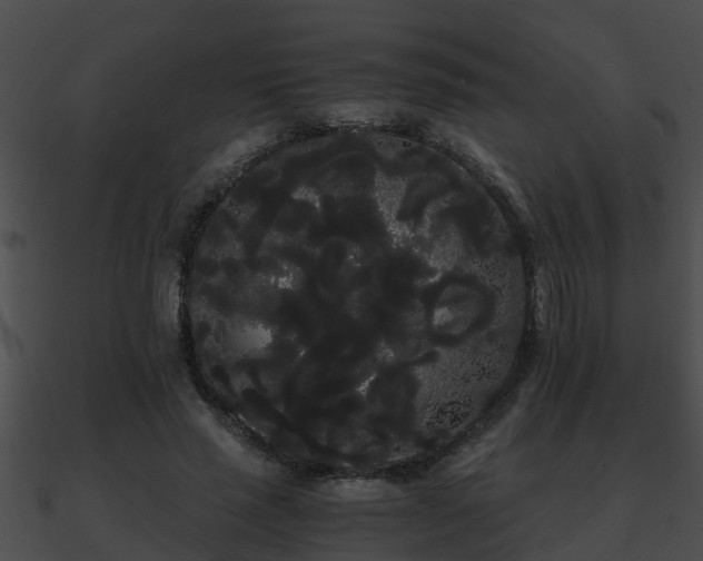X0000090860637200708030948