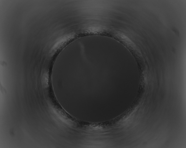 X0000090860640200708030948