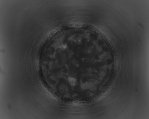 X0000090860641200708030948