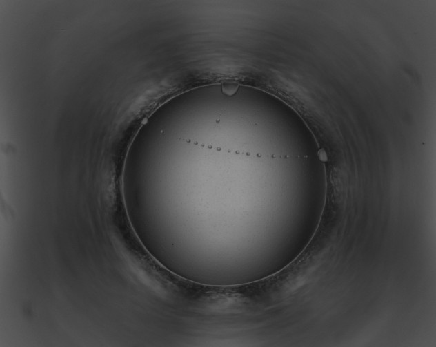 X0000090860642200708030948