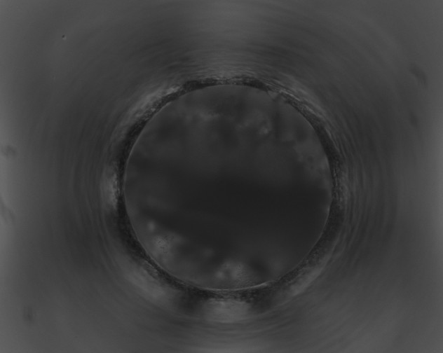 X0000090860644200708030948