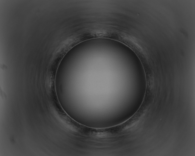 X0000090860645200708030948