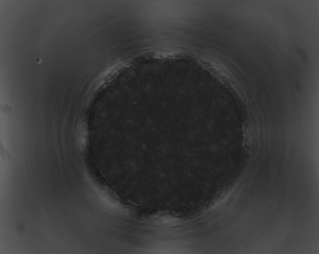X0000090860648200708030948
