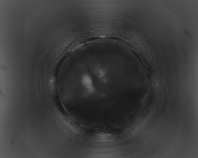 X0000090860650200708030948