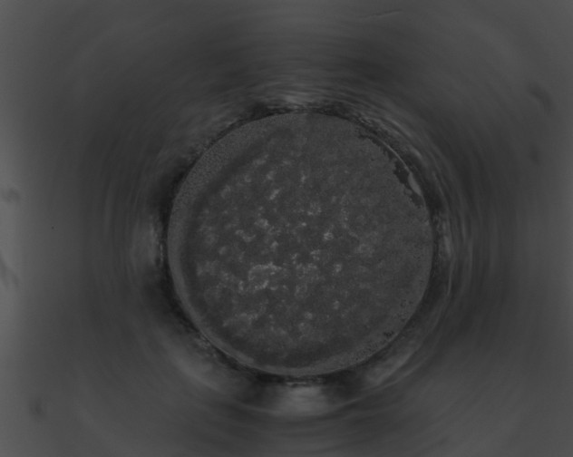 X0000090860651200708030948