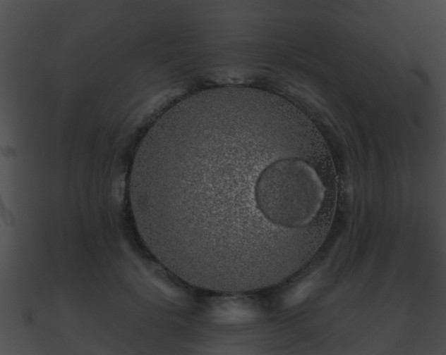 X0000090860652200708030948