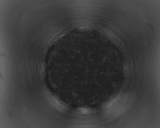 X0000090860654200708030948