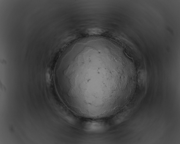X0000090860655200708030948