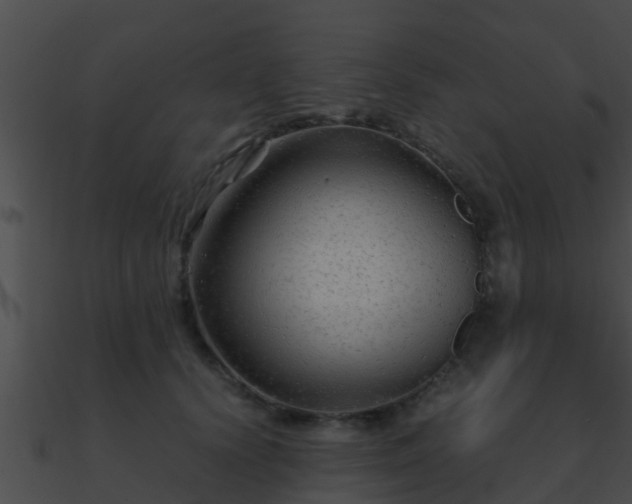 X0000090860656200708030948