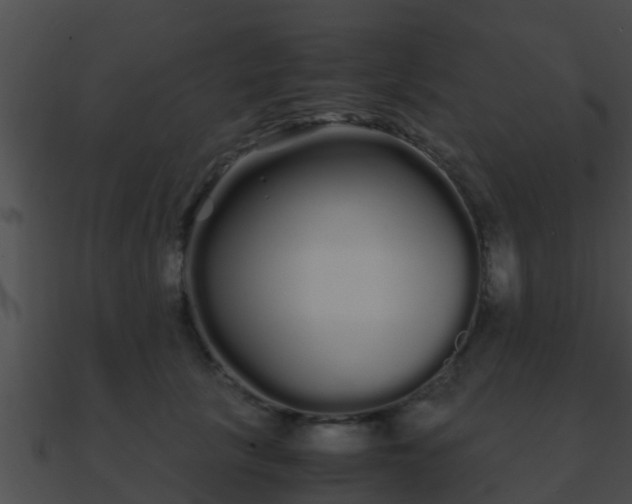 X0000090860657200708030948