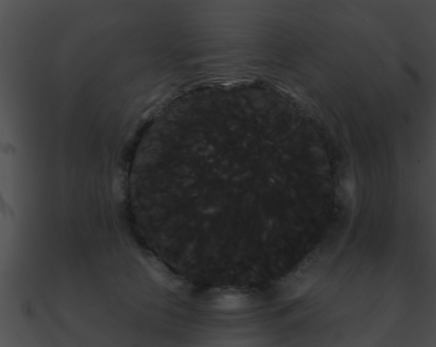 X0000090860658200708030949