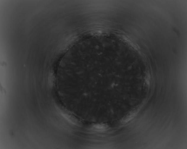 X0000090860659200708030949