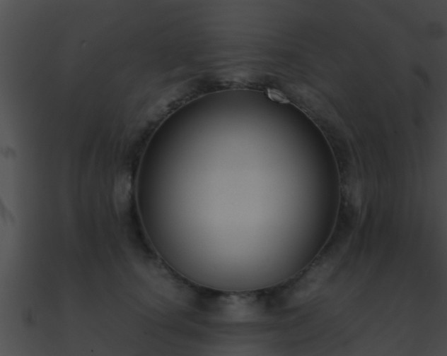 X0000090860660200708030949