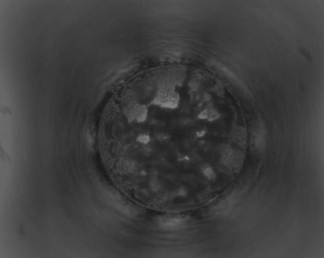 X0000090860661200708030949