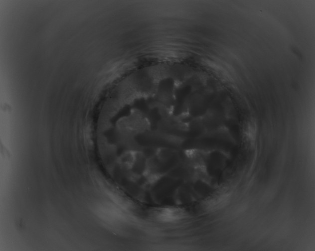 X0000090860663200708030949