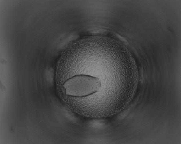 X0000090860664200708030949