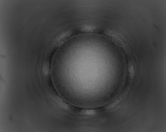 X0000090860665200708030949