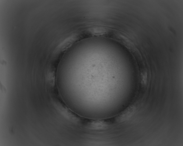 X0000090860666200708030949