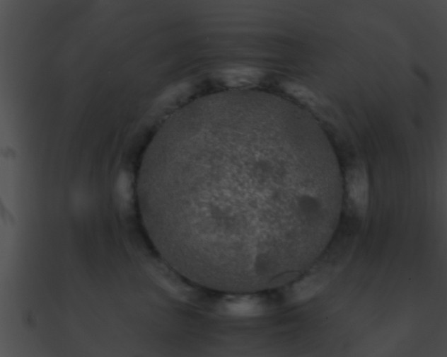 X0000090860667200708030949