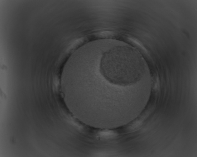 X0000090860669200708030949