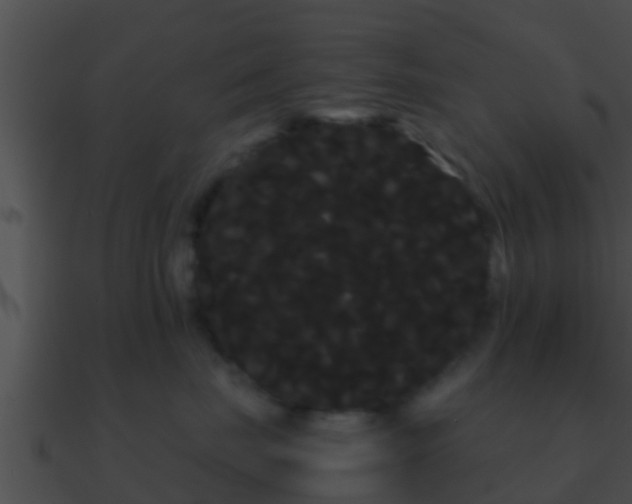 X0000090860671200708030949