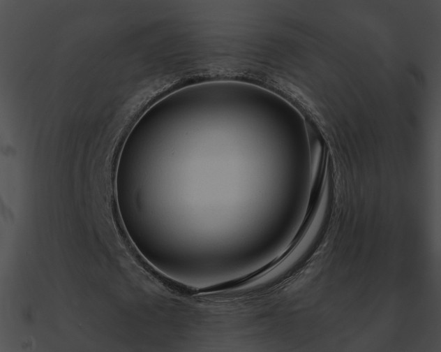 X0000090860673200708030948