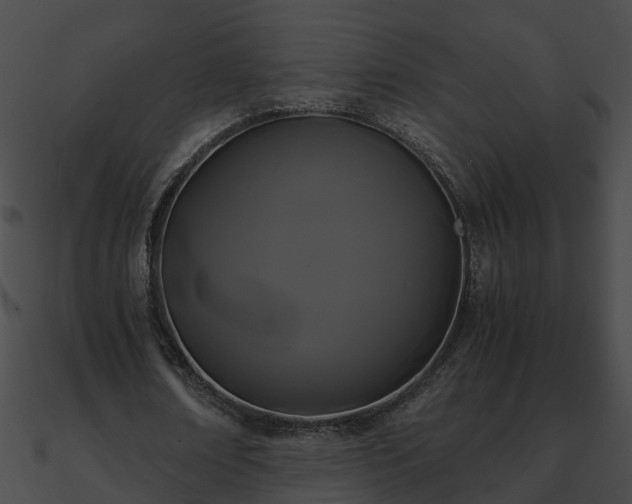 X0000090860674200708030948
