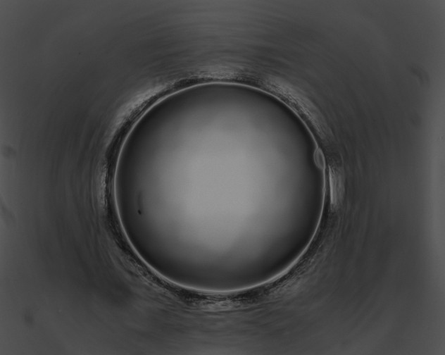 X0000090860675200708030948